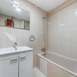 Navegantes * トレビエハ